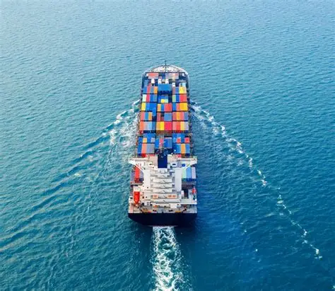 oip 2025 10 31t092436.995