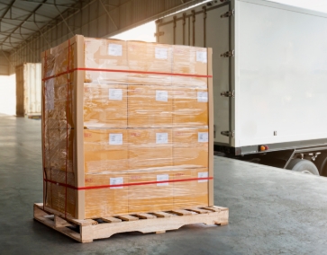 screenshot 8 11 2025 11203 www.bing.com